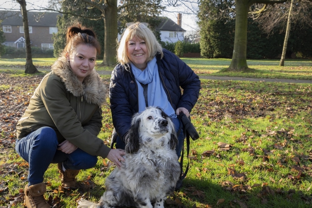 Lost dog in Tonbridge shows positive side of social media